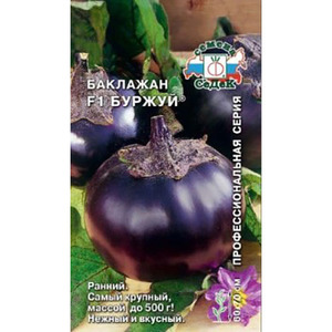 Paket sjemenki buržoaskog patlidžana - visoko rodna sorta