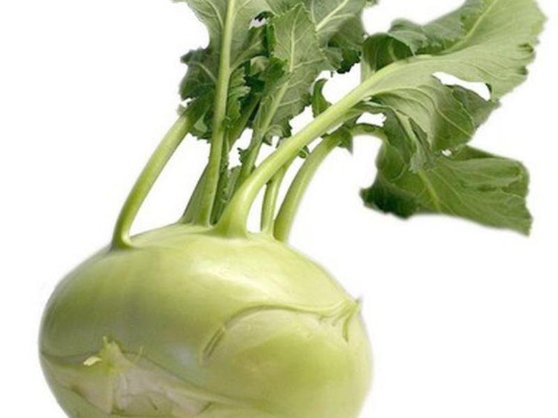 Keljrabi kupus Korisno od Kohlrabija