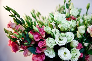 Lisianthus je zanimljiva sorta ruža