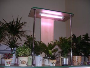 Kako odabrati fluorescentne svjetiljke