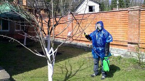 Prskanje drveća
