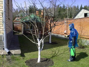 Njega vrta