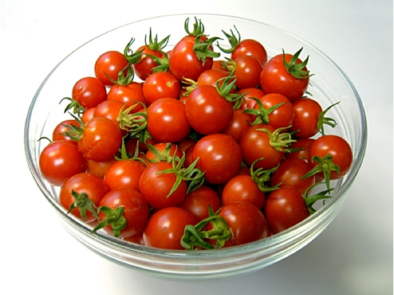 Berba rajčice cherry Cherry rajčice