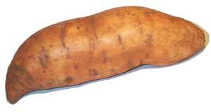 Kako saditi batat