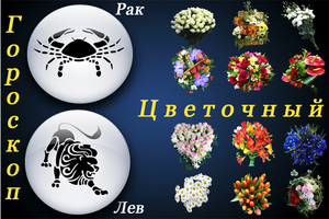 Cvjetni horoskop