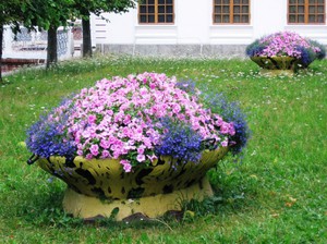Petunije na podignutom cvjetnjaku - stilsko rješenje