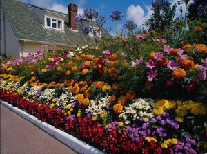 Blumenbeetdekoration