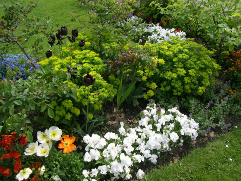 Betten von Sommersorten
