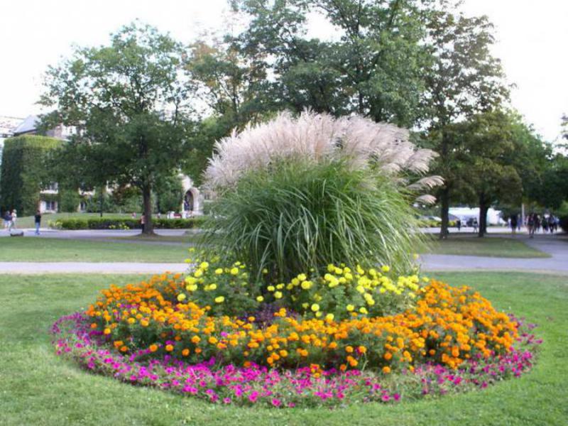 Blumengarten von untergroßen Blumen