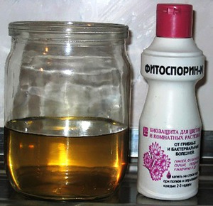 Fitosporin-M - supakuotas ir paruoštas naudoti tirpalas.