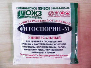 Fitosporin-M naudojamas augalų apsaugai tiek namuose, tiek sode.