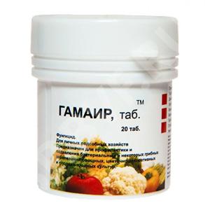 Vaisto aprašymas