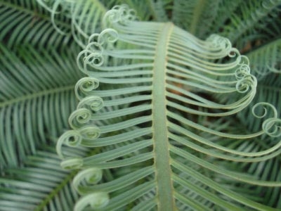 1548398785_5c4ab0bf96f03.jpg