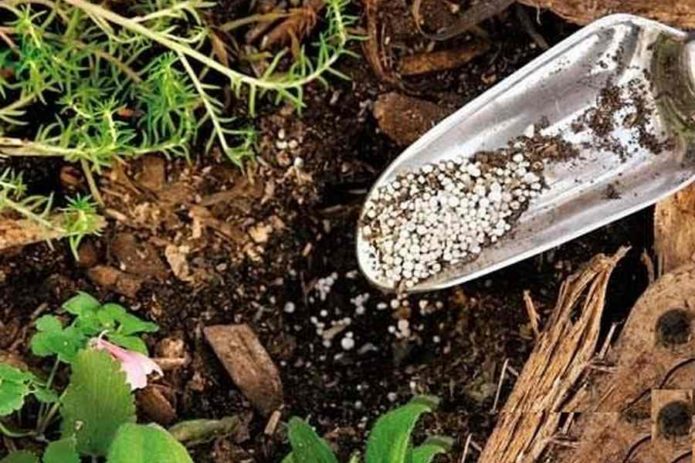 Granule mineralnih gnojiva u mjerici
