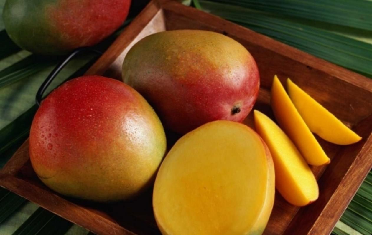 Mango: opis popularnih sorti kralja voća
