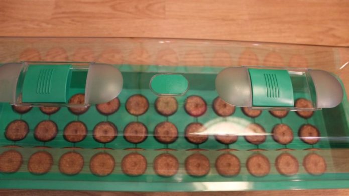 Mikro staklenik (mini staklenik)