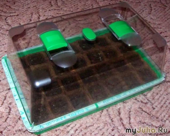 Mini staklenik za sadnice