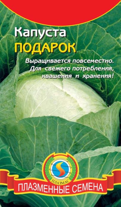 Sjeme kupusa u plazmi