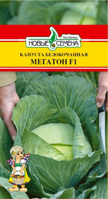 Kupus Megaton iz novih sjemenki