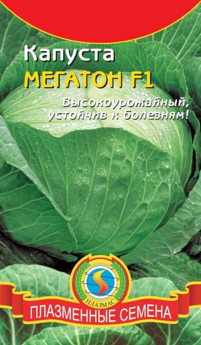 Sjeme tvrtke PLAZMAS