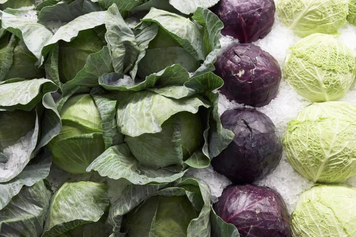 Kohl, Rotkohl und Wirsing