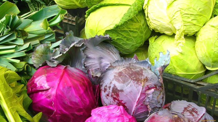 Weiß- und Rotkohl
