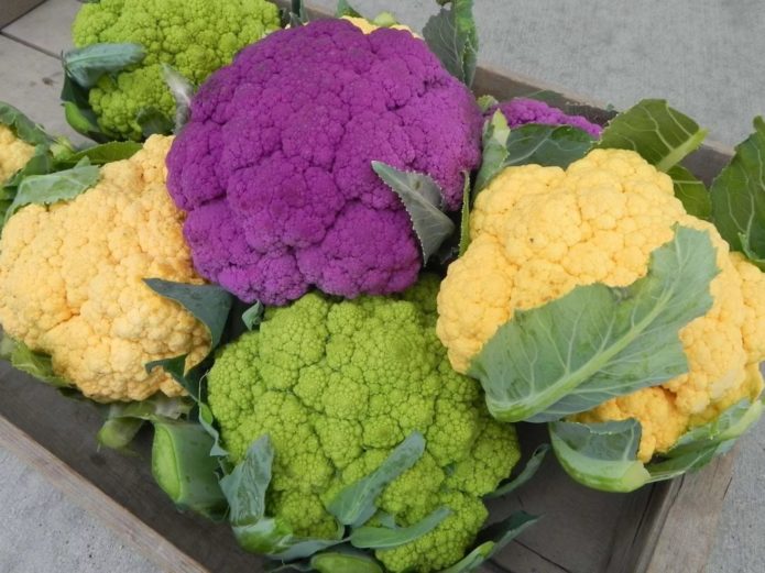 Blumenkohl
