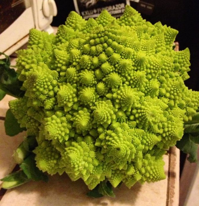 Romanesco Kohl