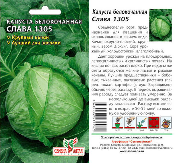Sjeme kupusa Slava tvrtke sjeme Altai