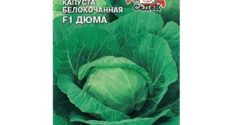 Dumas Kohl