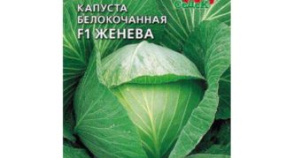 Kohl Genf
