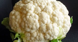 Blumenkohl Express MS