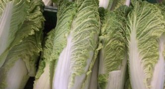 Peking Kohl Hydra