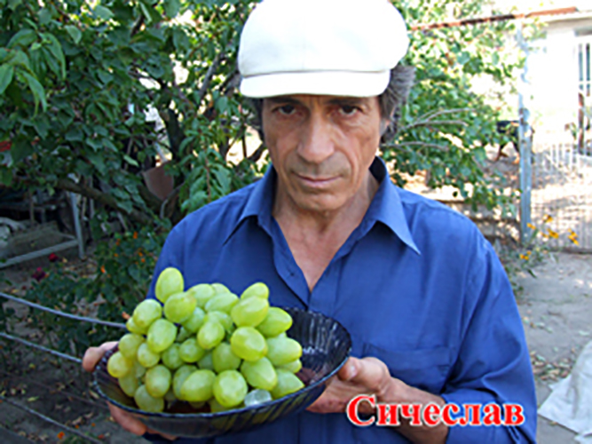 Anatolij Aleksejevič Golub