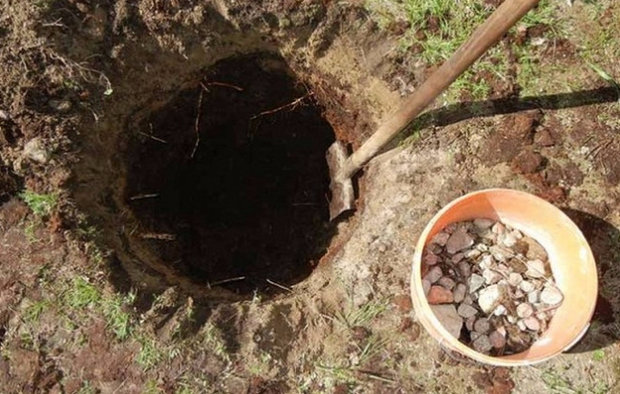 Sadna jama za grožđe