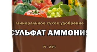 Amonijev sulfat
