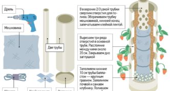 Shema pripreme cijevi za vertikalni uzgoj jagoda