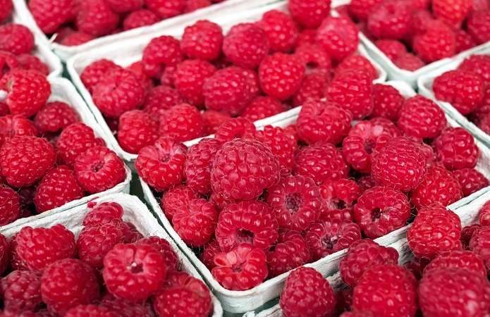 Maline u plastičnim posudama