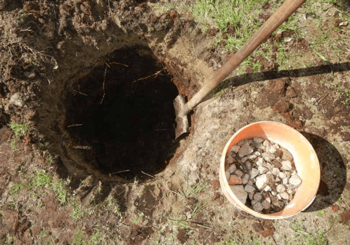 Zatrpavanje drenažnog sloja u sadnu jamu