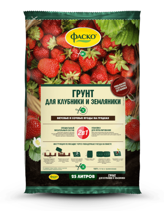 Tlo za jagode i jagode