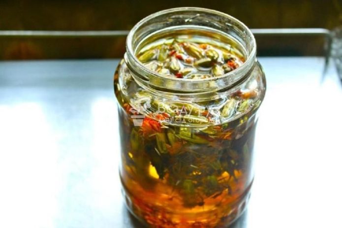 Infuzija nevena