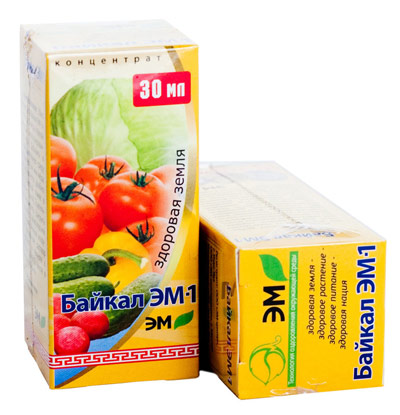 Priprema Baikal EM1