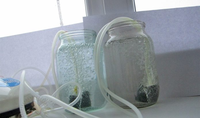 Burbulas namuose