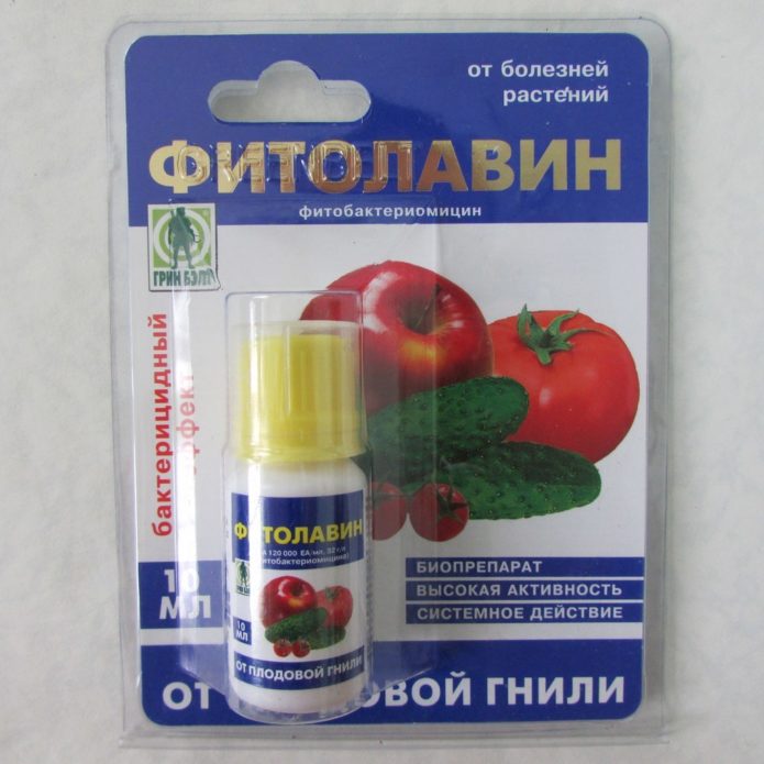 Fitolavinas