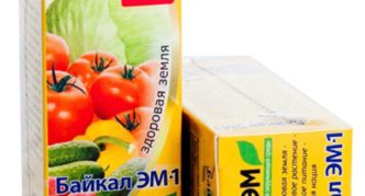 Baikalo EM1