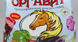 Arklio orgavitas