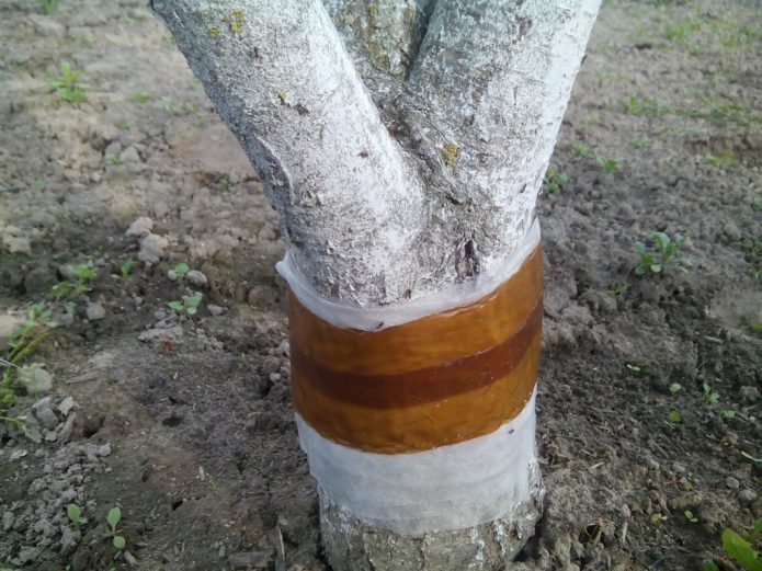 Lovački pojas