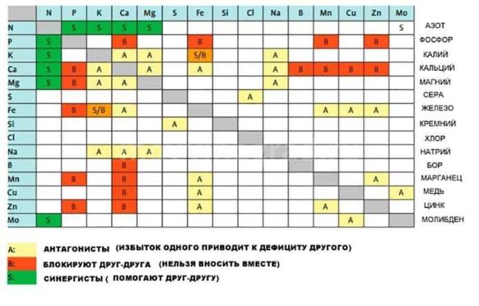 raspored oplodnje