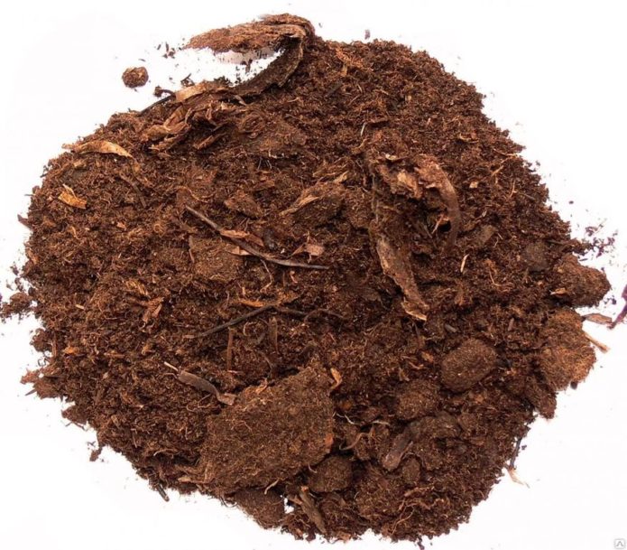 Konjski treset