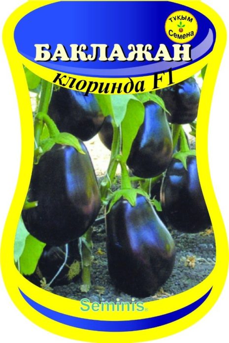 Paket sjemenki patlidžana Clorinda
